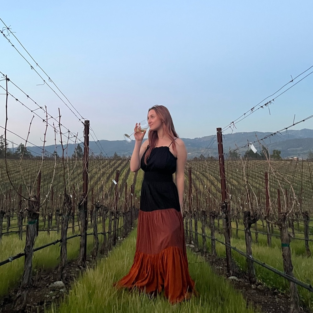 Anthropologie Maxi Seen Work Kept Dress